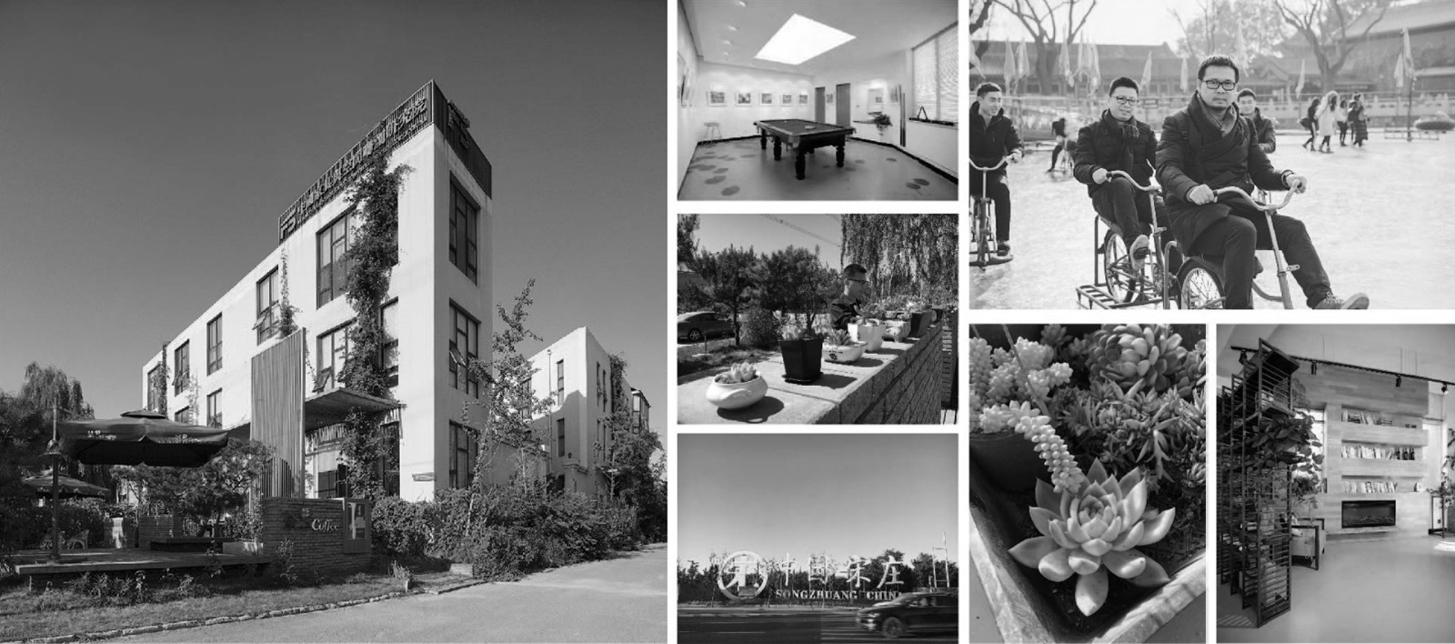 1555493221487824.jpg 1555493221487824.jpg