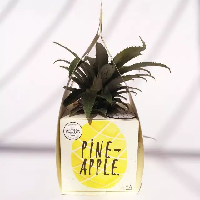 1555899480356281.jpg d9f8189046e34978a54cc40c214efdeb.jpg