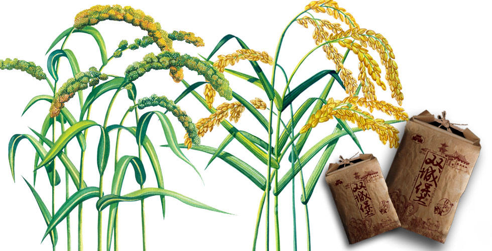 1578467569450174.jpg 1578467569450174.jpg