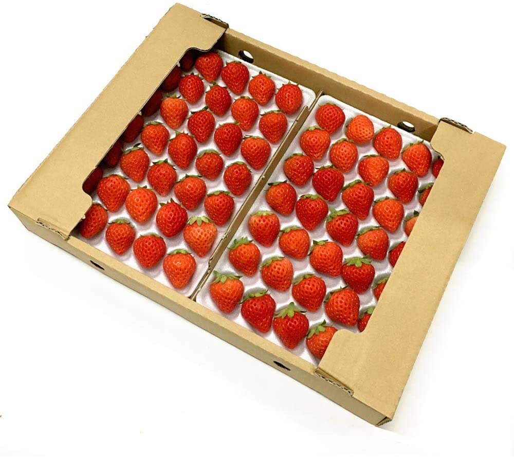 1606787721704561.jpg 1606787721704561.jpg