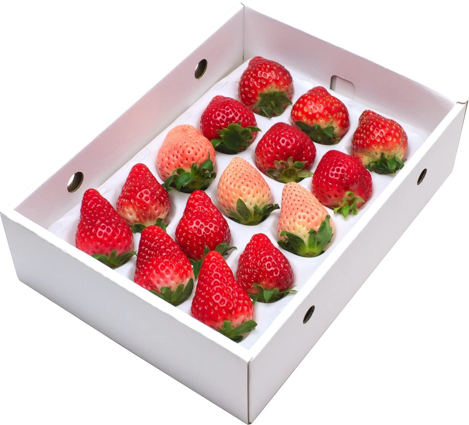 1606787724958793.png 1606787724958793.png