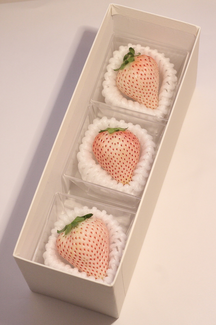 1606787725419525.jpg 1606787725419525.jpg