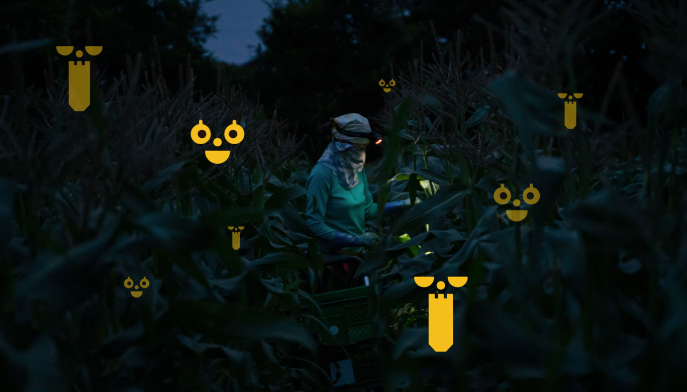 1622440349265526.png image.png