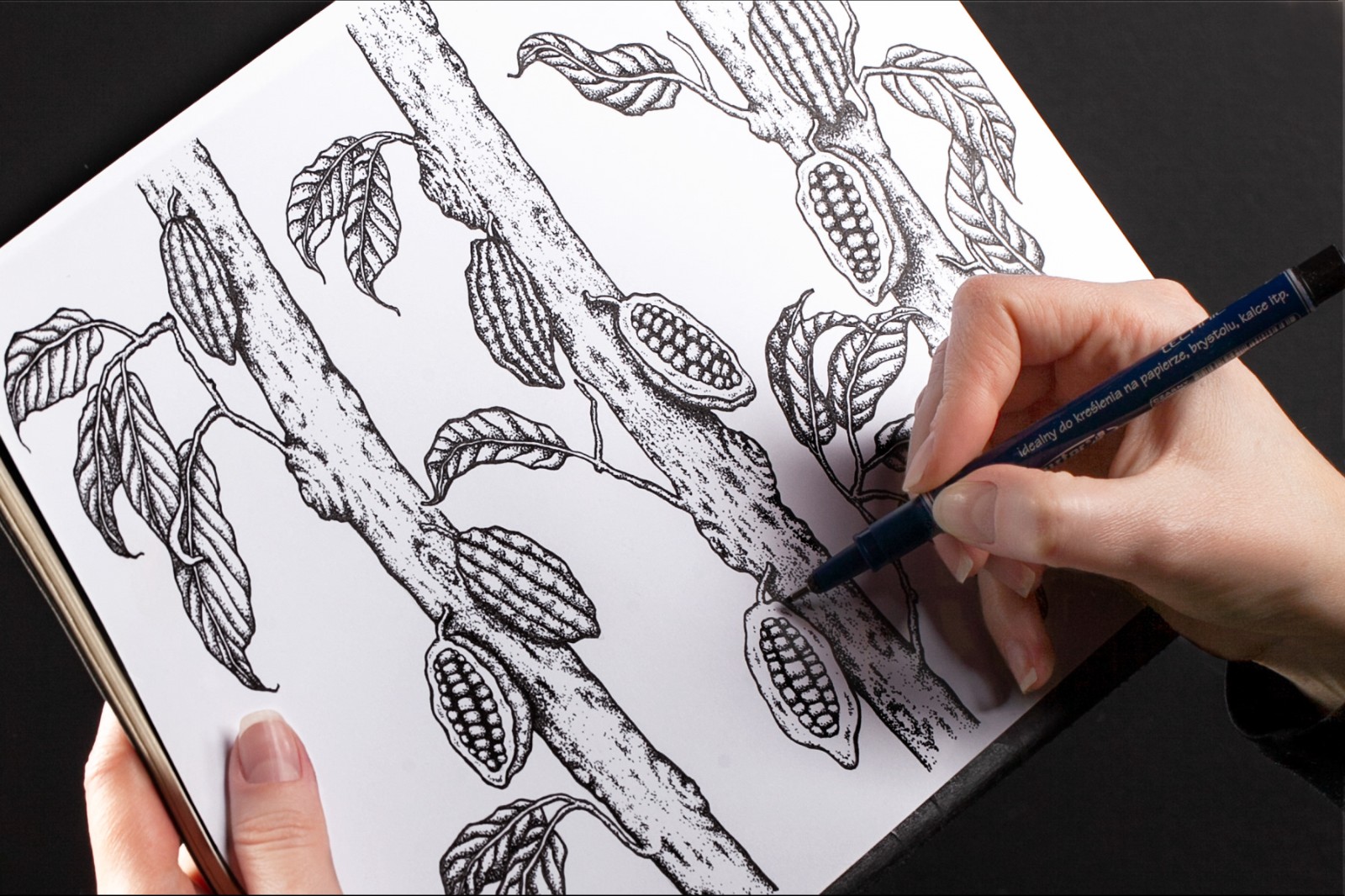 禮盒插畫包裝設(shè)計(jì) 禮盒插畫包裝設(shè)計(jì)