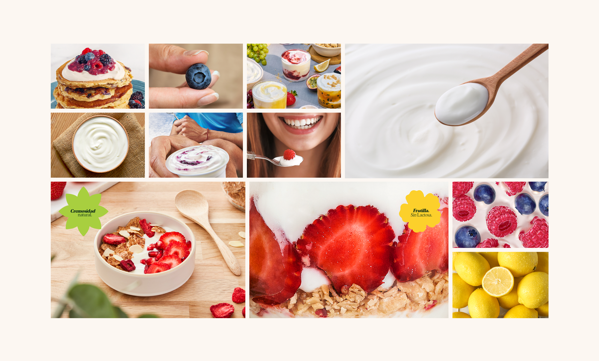 酸奶環(huán)境 酸奶環(huán)境