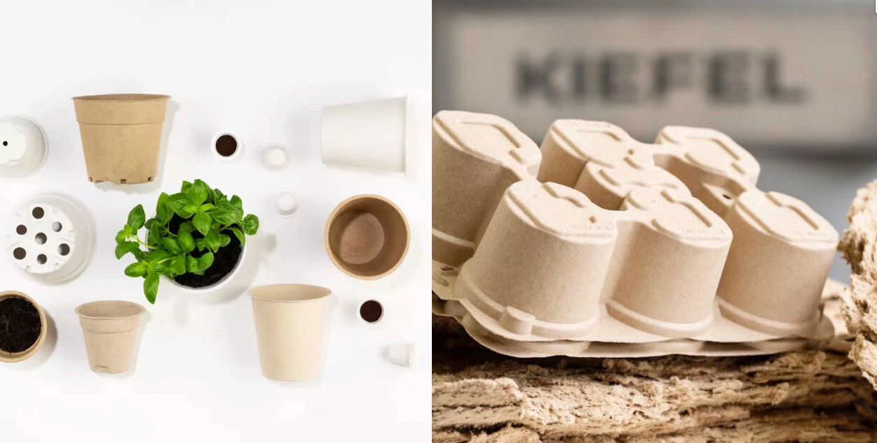 1719804333811980.png image.png