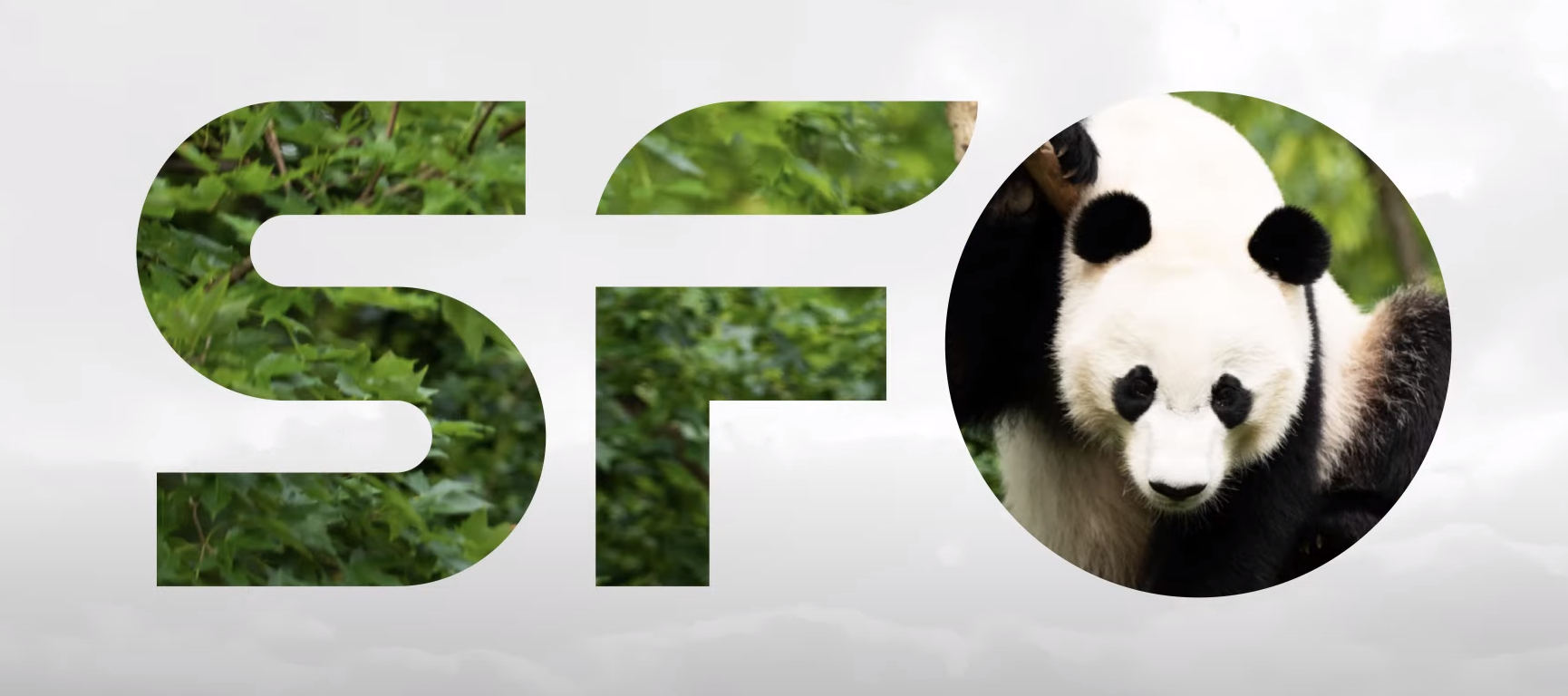 1724829893145666.png image.png