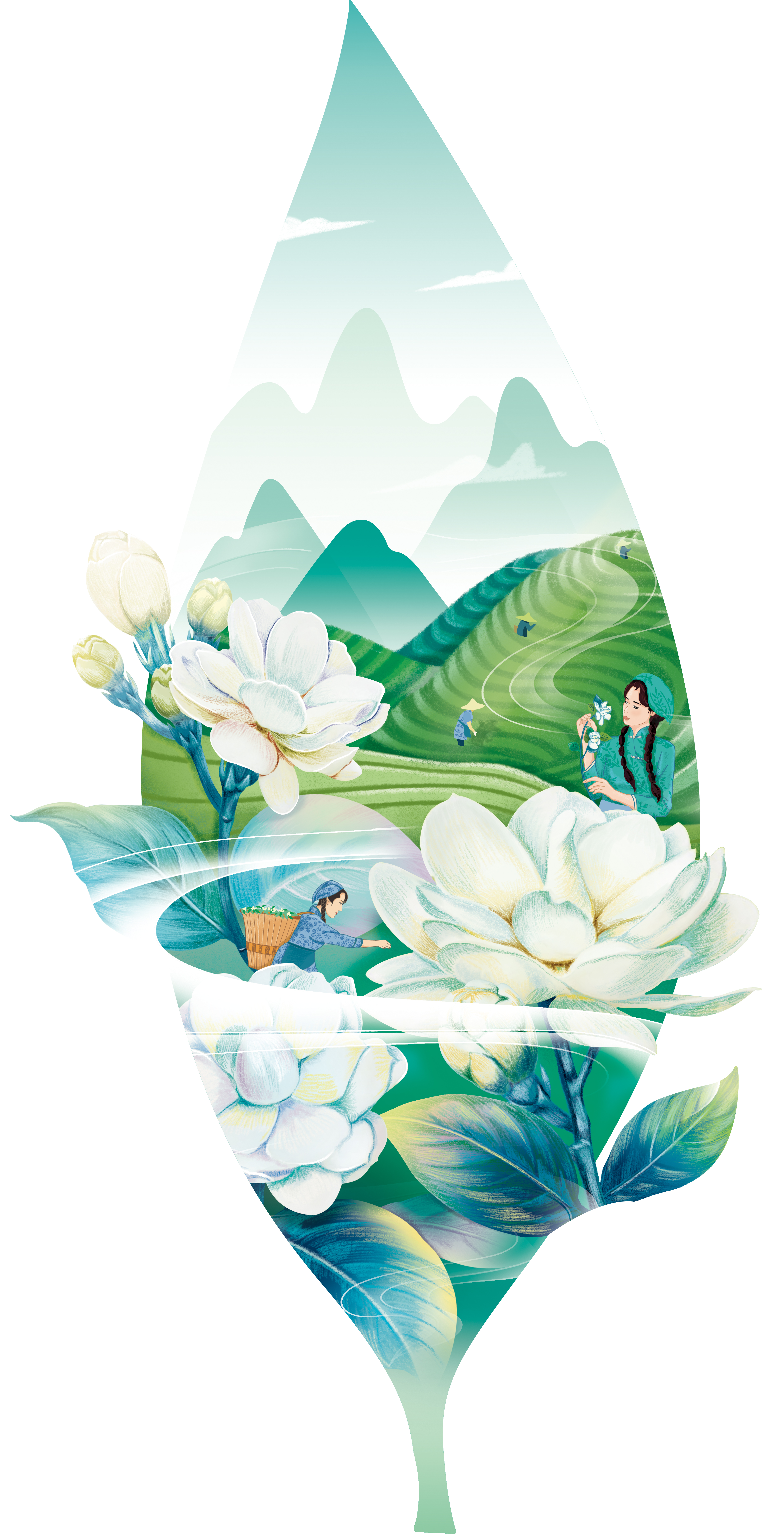 北京包裝設計公司吳裕泰插畫設計 北京包裝設計公司吳裕泰插畫設計