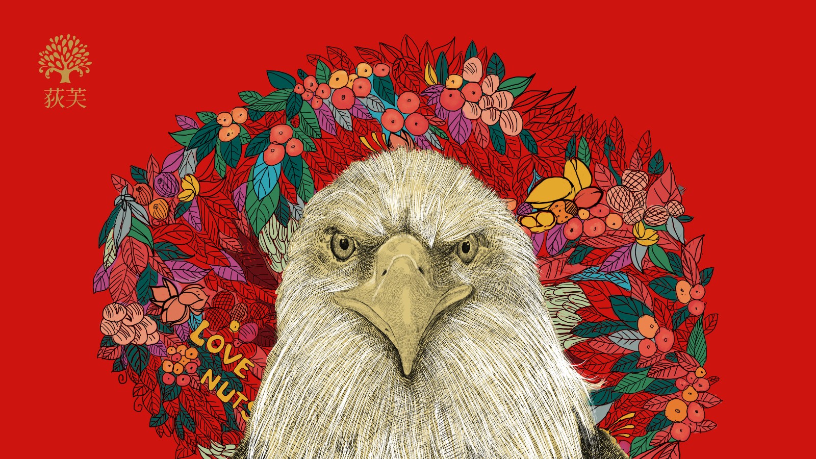 堅果插畫設計 堅果插畫設計