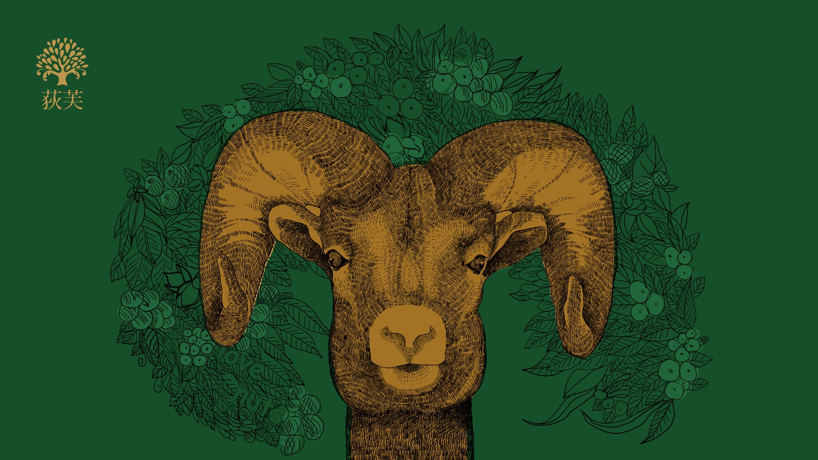 堅果插畫創(chuàng)意 堅果插畫創(chuàng)意