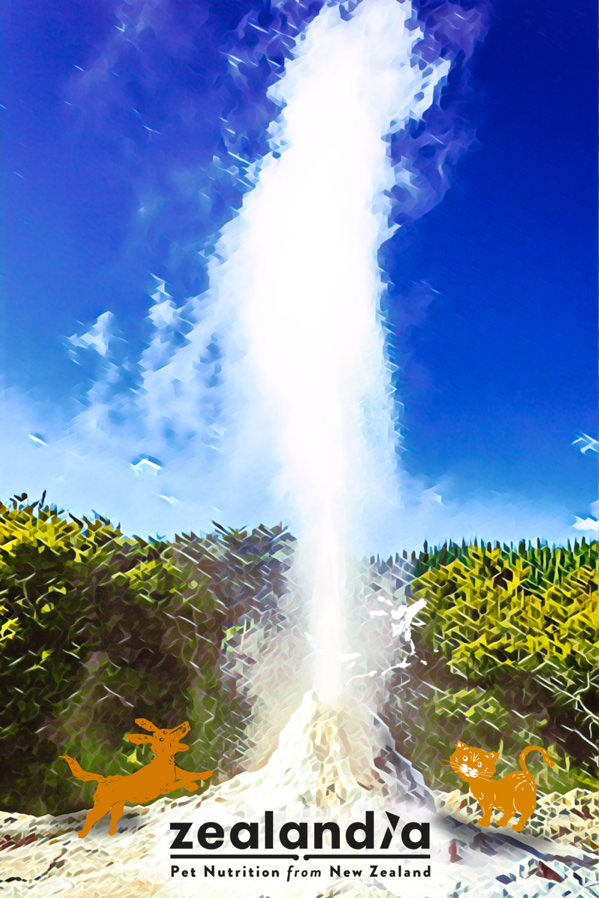 zealandia寵物食品品牌 zealandia寵物食品品牌