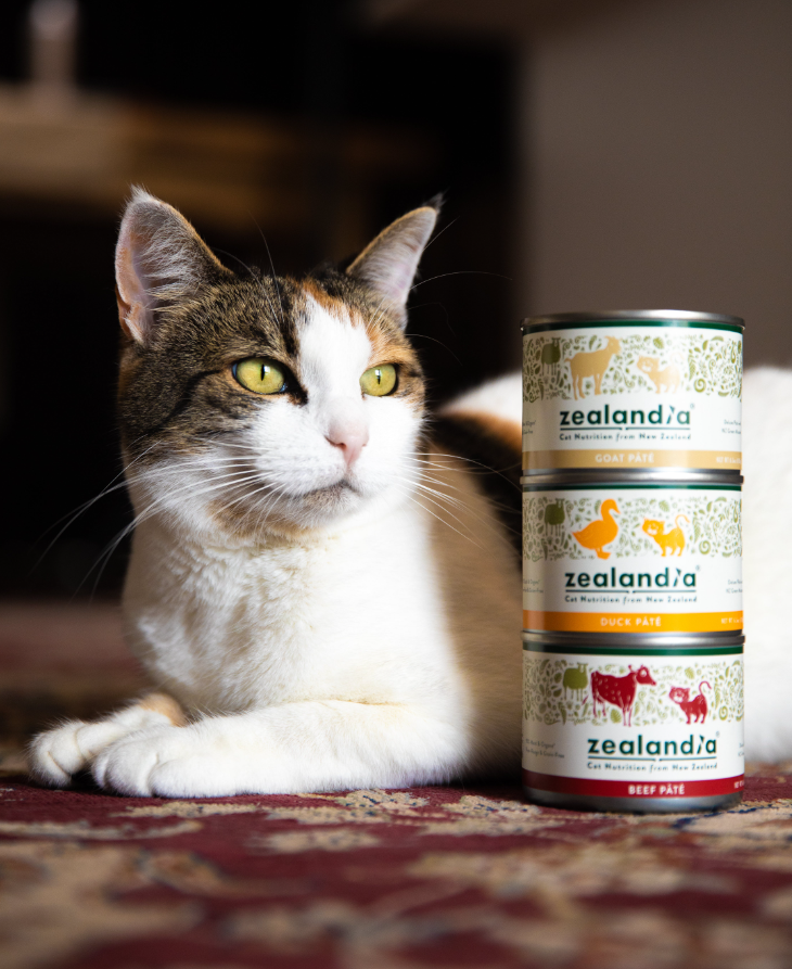 貓營養(yǎng)品包裝設(shè)計(jì) 貓營養(yǎng)品包裝設(shè)計(jì)