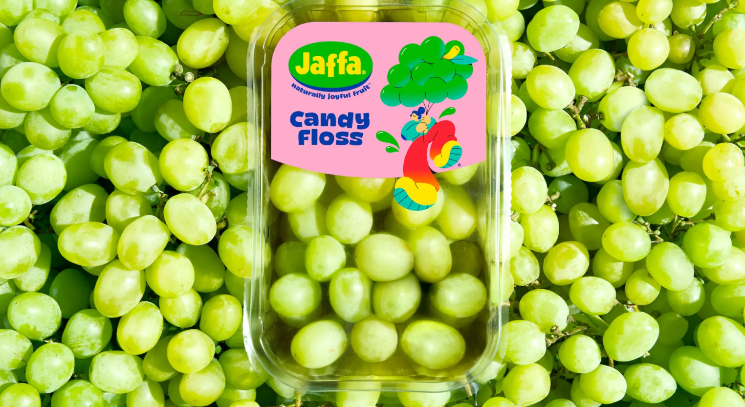 水果包裝設(shè)計